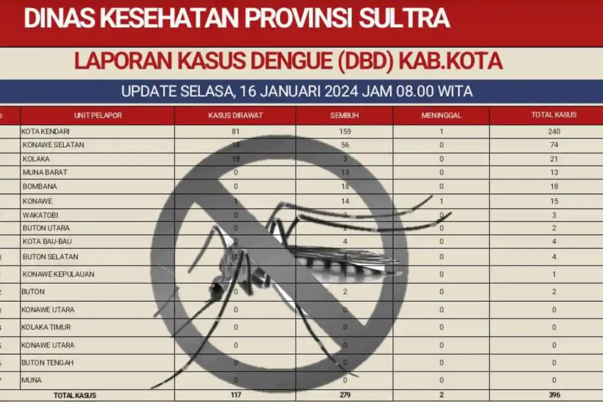 Update Kasus DBD di Provinsi Sulawesi Tenggara Capai 396 Kasus, 2 Meninggal Dunia