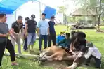 Lapas-Kelas-IIA-Kendari-berkurban-4-ekor-sapi.jpg