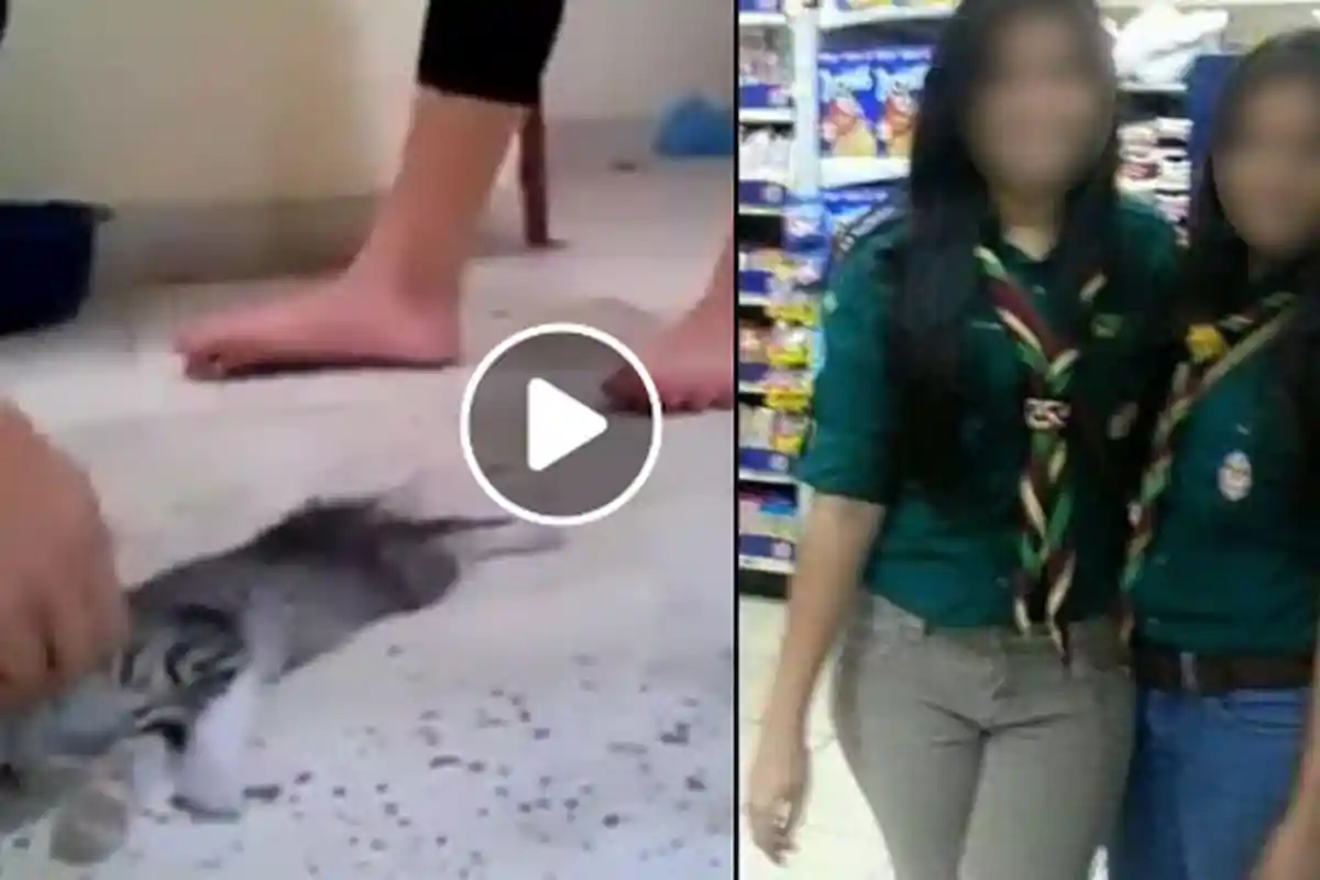 Fakta Video 3 Cewek Injak Anak Kucing Sampai Mati Heboh, Viral di Twiter & Ternyata Ada Komunitasnya