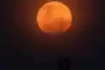 Gerhana Bulan Super Blood Moon Jakarta