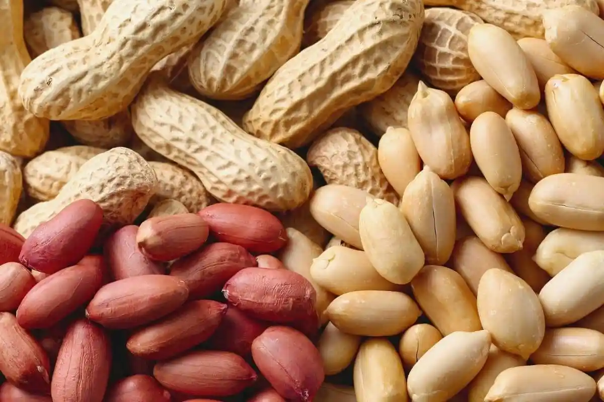 5 Manfaat Kacang Tanah, Menjaga Kesehatan Jantung hingga Menurunkan Kolesterol