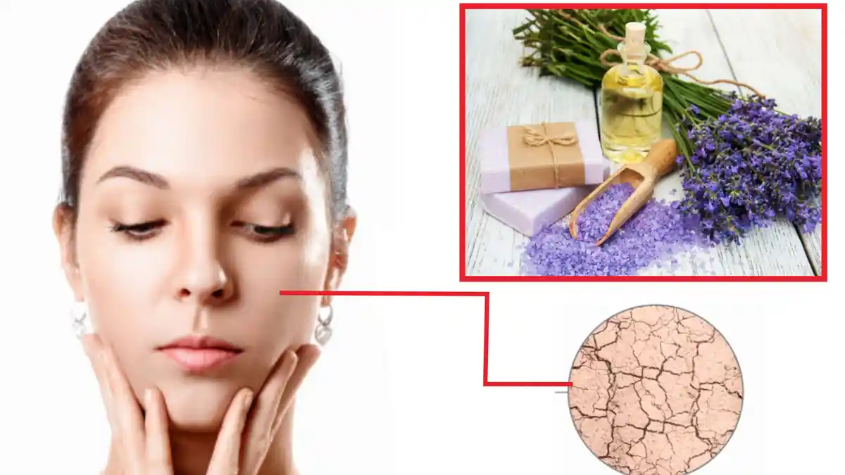 Kulitmu Kering? Cobalah Serum Ini Agar Kulit Kembali Lembab & Halus, Mudah Dibuat & Anti Ribet