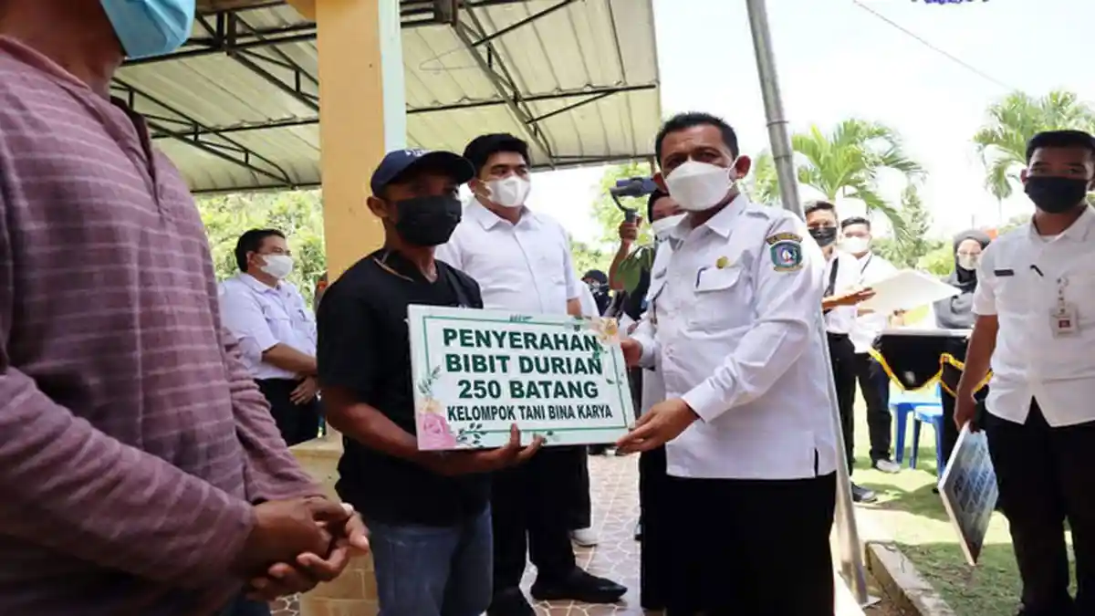 Gubernur Kepri Bagi-bagi Bibit Durian di Bintan, Ini Harapannya