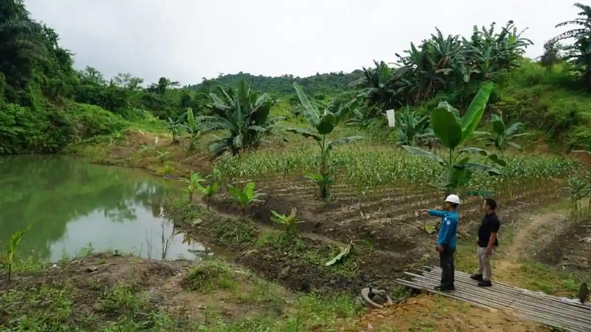 Bupati Kukar Edi Damansyah Tinjau Pemanfaatan Void untuk Petani, Jangan Berbelit-belit