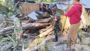 RUMAH-ROBOH-TERTIMPAH-POHON-TUMBANG.jpg