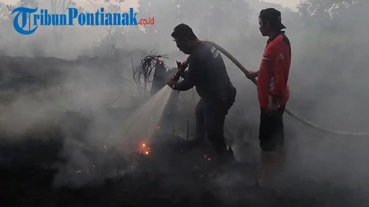 Ada 76 Titik Hotspot di Kalbar, BPBD: Belum Ada Laporan Karhutla