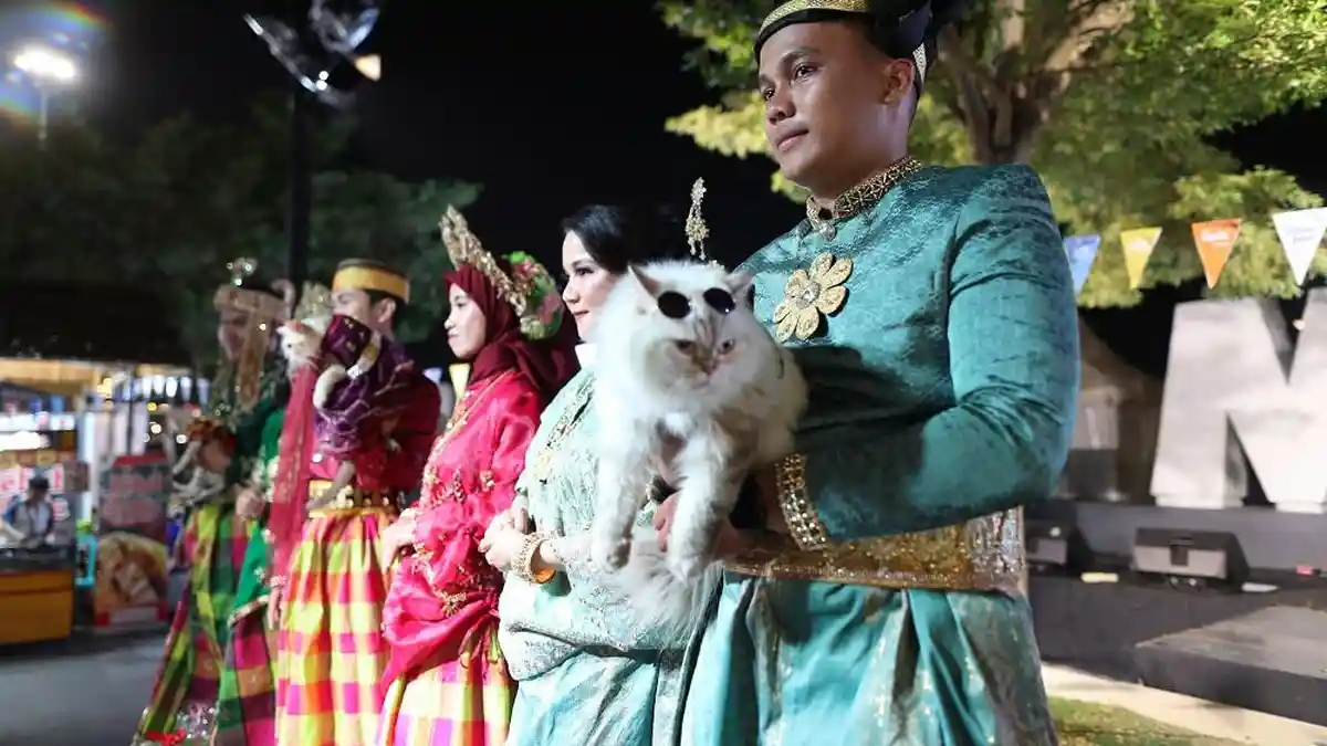 Kucing Peliharaan Ikut Fashion Show di F8 Makassar