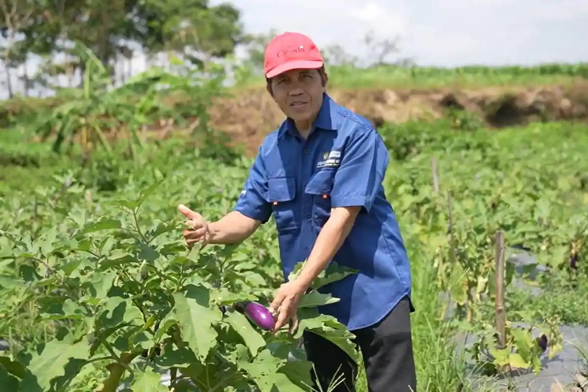 NZEO-SRPlus, Inovasi Pupuk Unsoed Kurangi Polusi dan Tingkatkan Ketahanan Tanaman