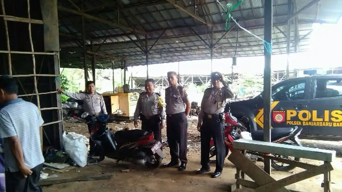 Ayam Jago Diamankan Polisi, Penjudi Sabung Ayam Tiarap