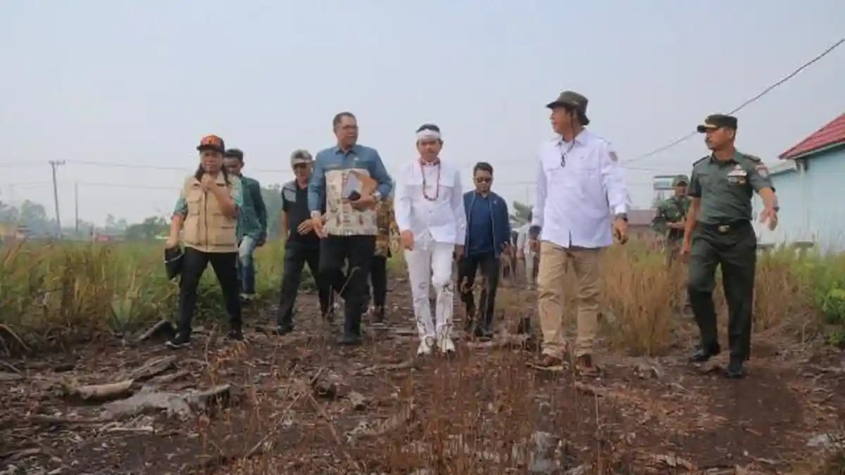 Komisi IV DPR RI Dorong Pemerintah Cari Terobosan Cegah Karhutla di 2020