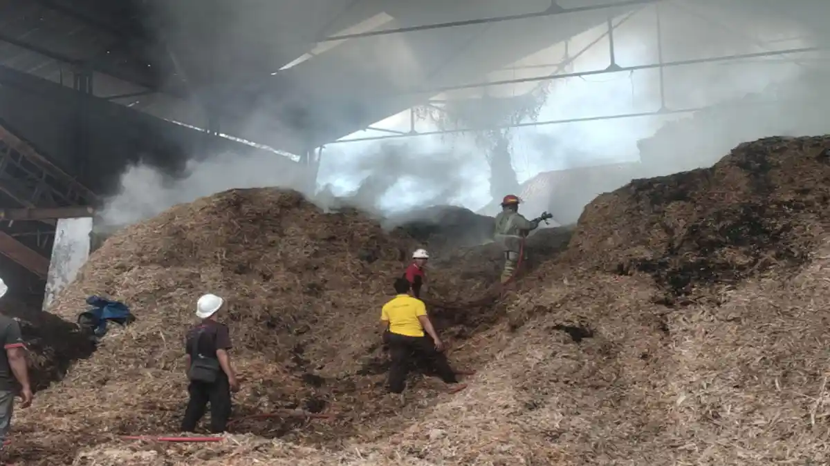 Kebakaran Pabrik Limbah Ampas Tebu di Jombang, Tiba-Tiba Api Berkobar dan Meluas