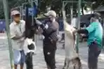 Pemotongan Hewan Kurban Di Masjid Al Azhar