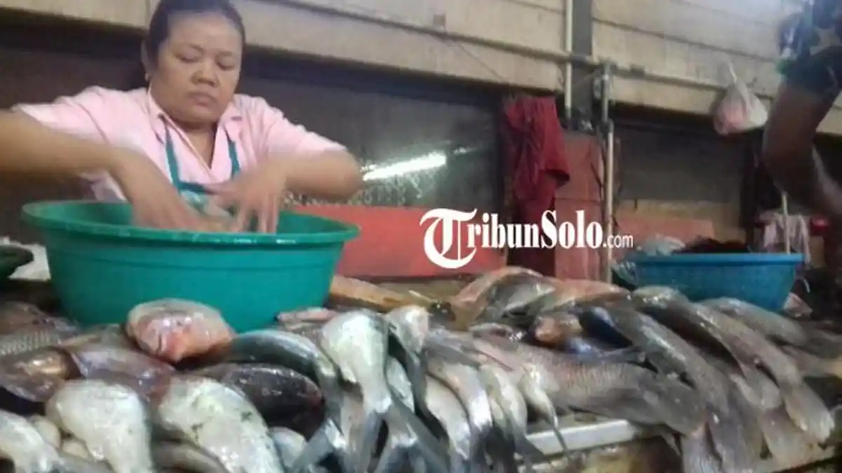 Bulan Ramadan, Permintaan Ikan Segar Meningkat di Karanganyar, Sehari Bisa Terjual 25 Kilogram