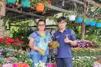 pedagang-bunga-di-tomohon-sukses-pakai-pupuk-npk-pelangi.jpg
