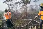 BPBD-Kalbar-Karhutla-Parit-Delima-Sungai-Kakap-Kabupaten-Kubu-Raya.jpg