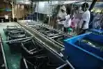 Penangkaran Kuda Laut Pulau Badi