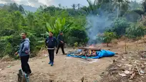 arena-sabung-ayam-dibakar.jpg