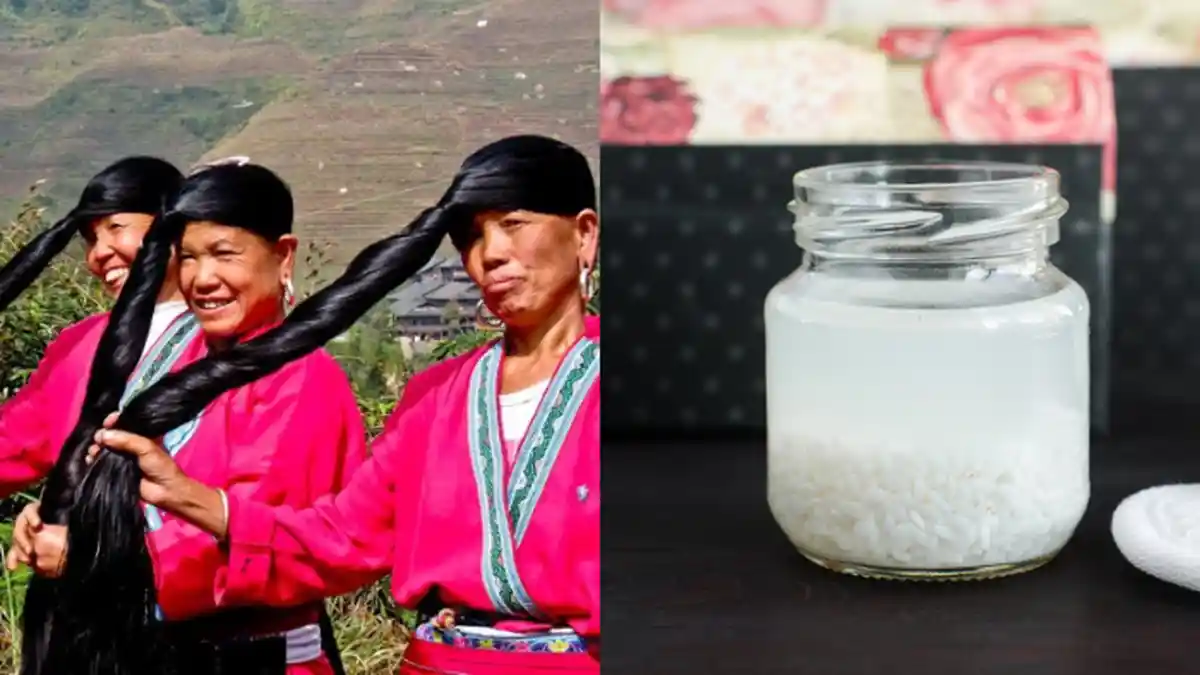 Rahasia Wanita Tiongkok Merawat Rambut Mereka Sehingga Bisa Panjang Berkilau Lebih dari 1,4 Meter