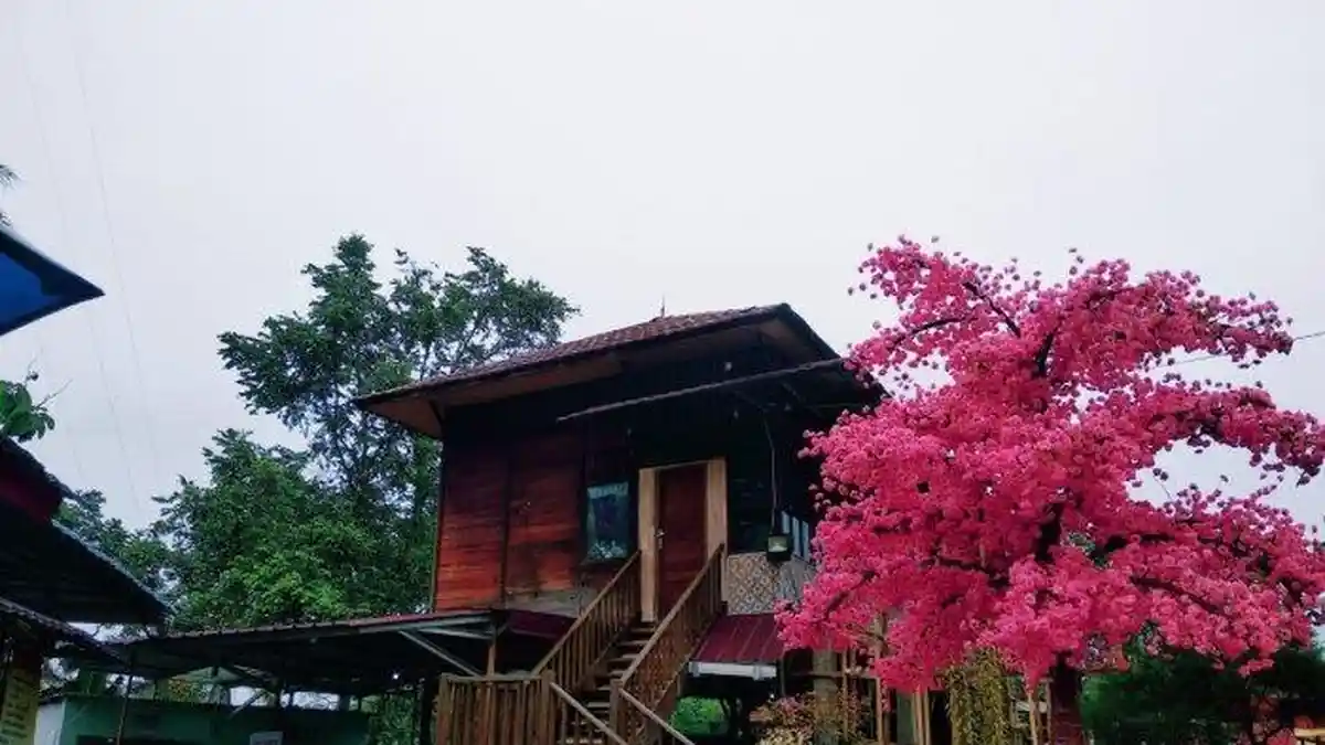 7 Tempat Wisata di Lampung Selain Pantai, Ada Lembah Hijau hingga Bukit Sakura