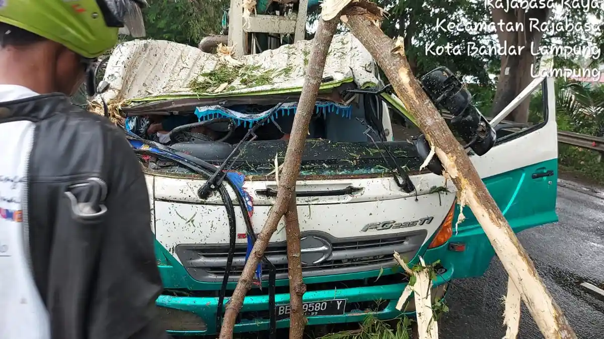 Detik-detik Pohon Tumbang di Bypass Bandar Lampung, Timpa Satu Unit Truk yang Melintas