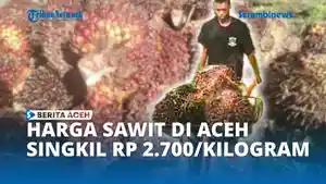 Sawit-388383.jpg