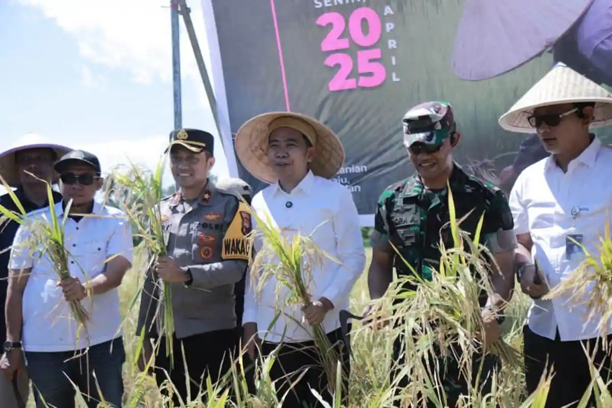 Urai Kelangkaan Pupuk, Pemkab Jember Bentuk Tim Analisis Hamparan Sawah