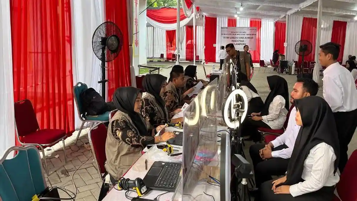 Pengumuman SKD CPNS Pemkab Mesuji 17 November 2024