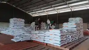 sejumlah-tim-gudang-beras-bulog-alak-meyusun-beras-dari-kontainer.jpg