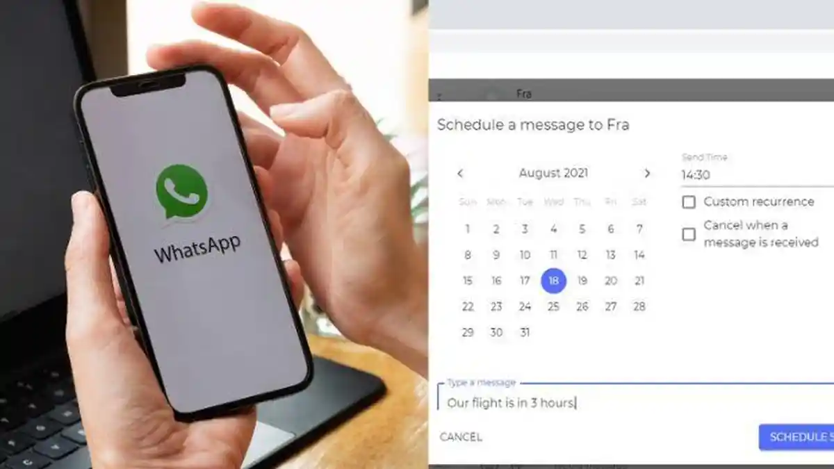 Trik WhatsApp Web: Cara Memasang Ekstensi Blueticks, Bisa Menentukan Waktu Mengirim Pesan