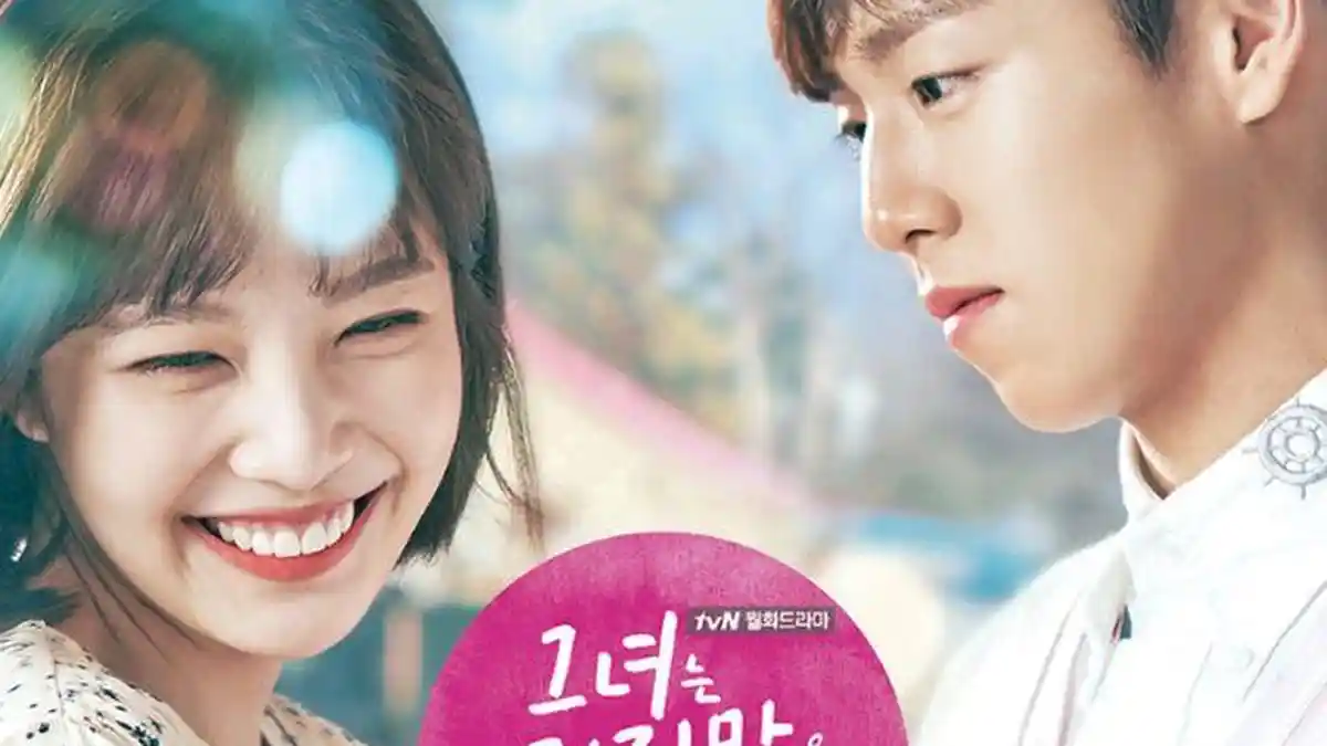 Sinopsis, Profil Pemain dan Link Streaming Drakor The Liar and His Lover, Dibintangi Joy Red Velvet