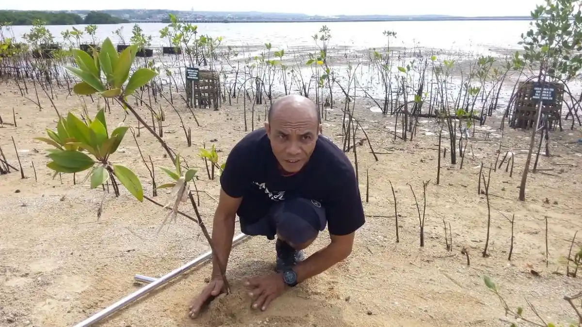 Pendaki Difabel Dunia Kaget Pohon Mangrove di Teluk Benoa Rusak Parah