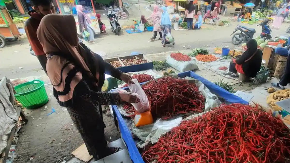 Harga Komoditi di Takengon Melonjak, Cabai Merah Tembus Rp 60 Ribu per Kilogram