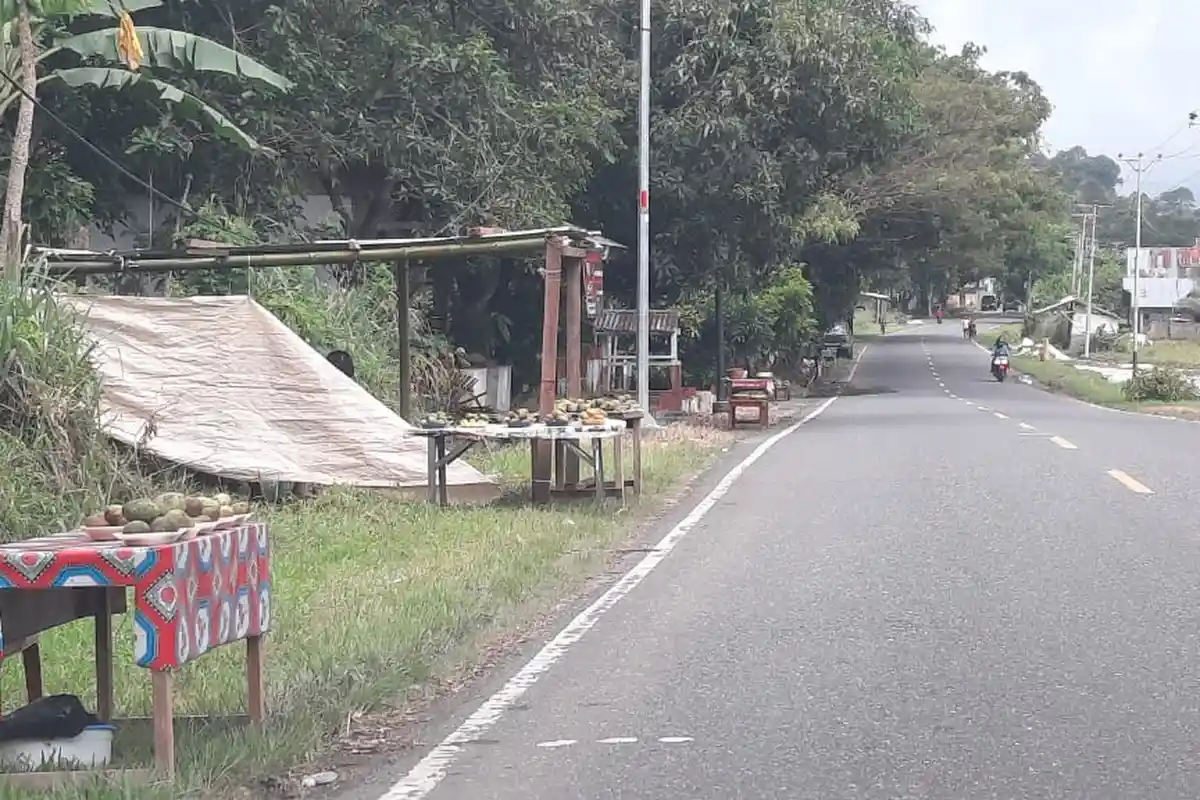 Penjual Mangga di Bolmong Mulai Menjamur, Pembeli Datang dari Daerah Tetangga