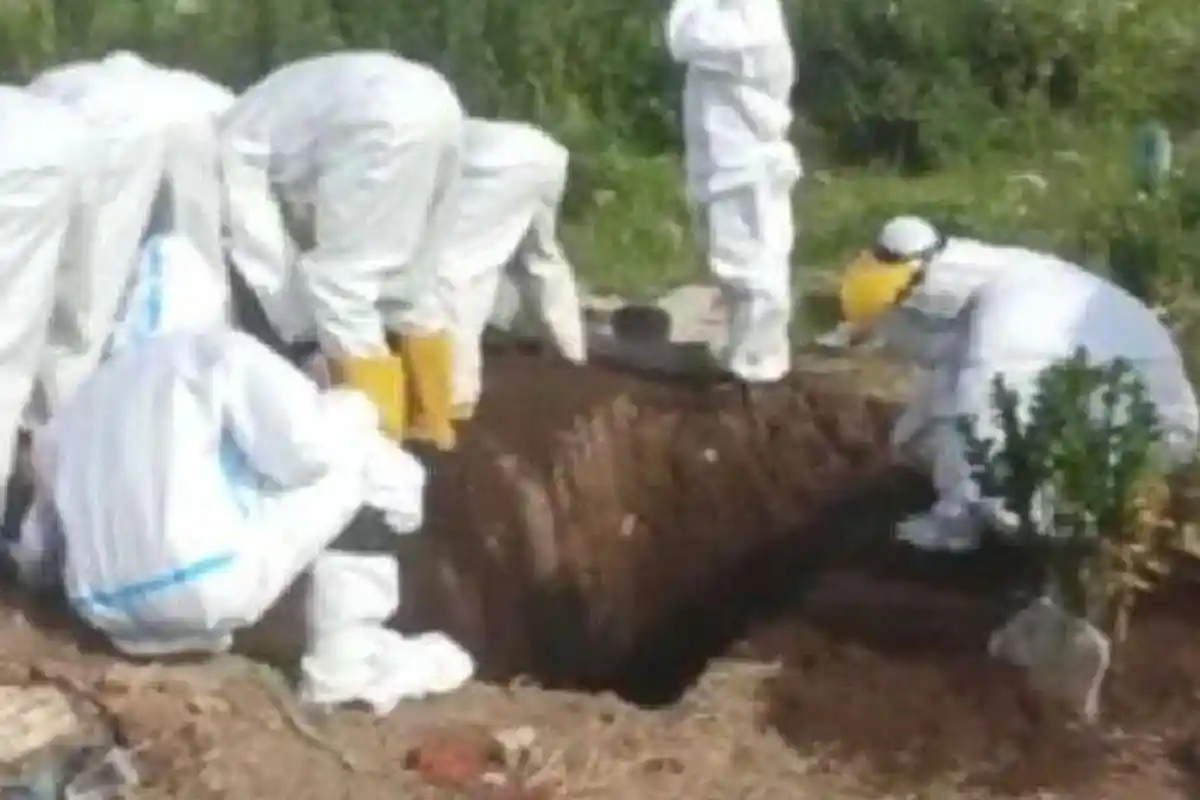 Ratusan Makam Khusus Covid-19 Terpaksa Dibongkar, Ternyata Jenazah Tidak Terpapar Corona