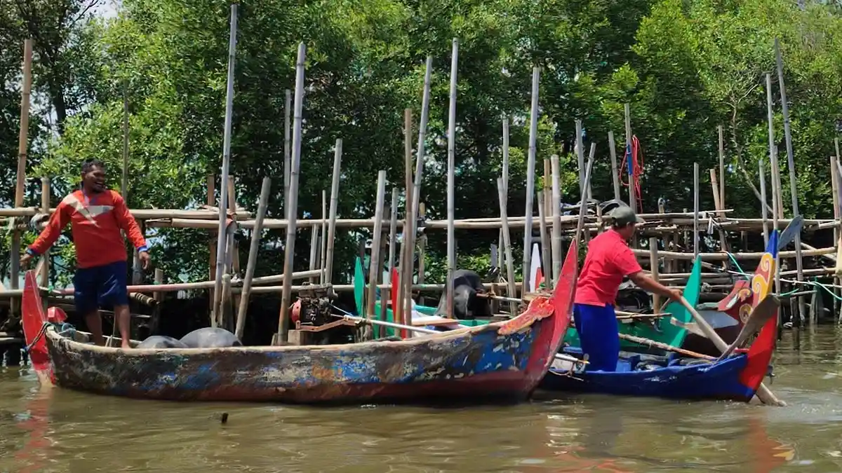 Tanah di Pesisir Semarang-Demak Dibeli Cukong Rp 2.000 Per Meter, Nelayan Kini Cemas Tak Bisa Melaut