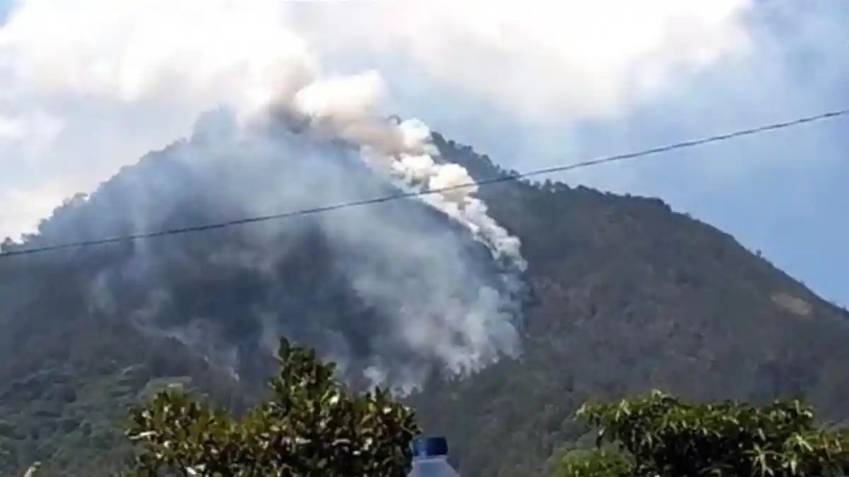 Kebakaran Gunung Panderman di Kota Batu Belum Padam, Puluhan Petugas Gabungan Kompak Padamkan Api