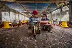 UMKM Terdampak Pandemi Covid-19 Mulai Pulih, Nilai Restrukturisasi Kredit di BRI Turun 54,5 Persen