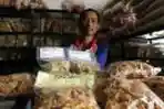 Makanan Khas Tuban