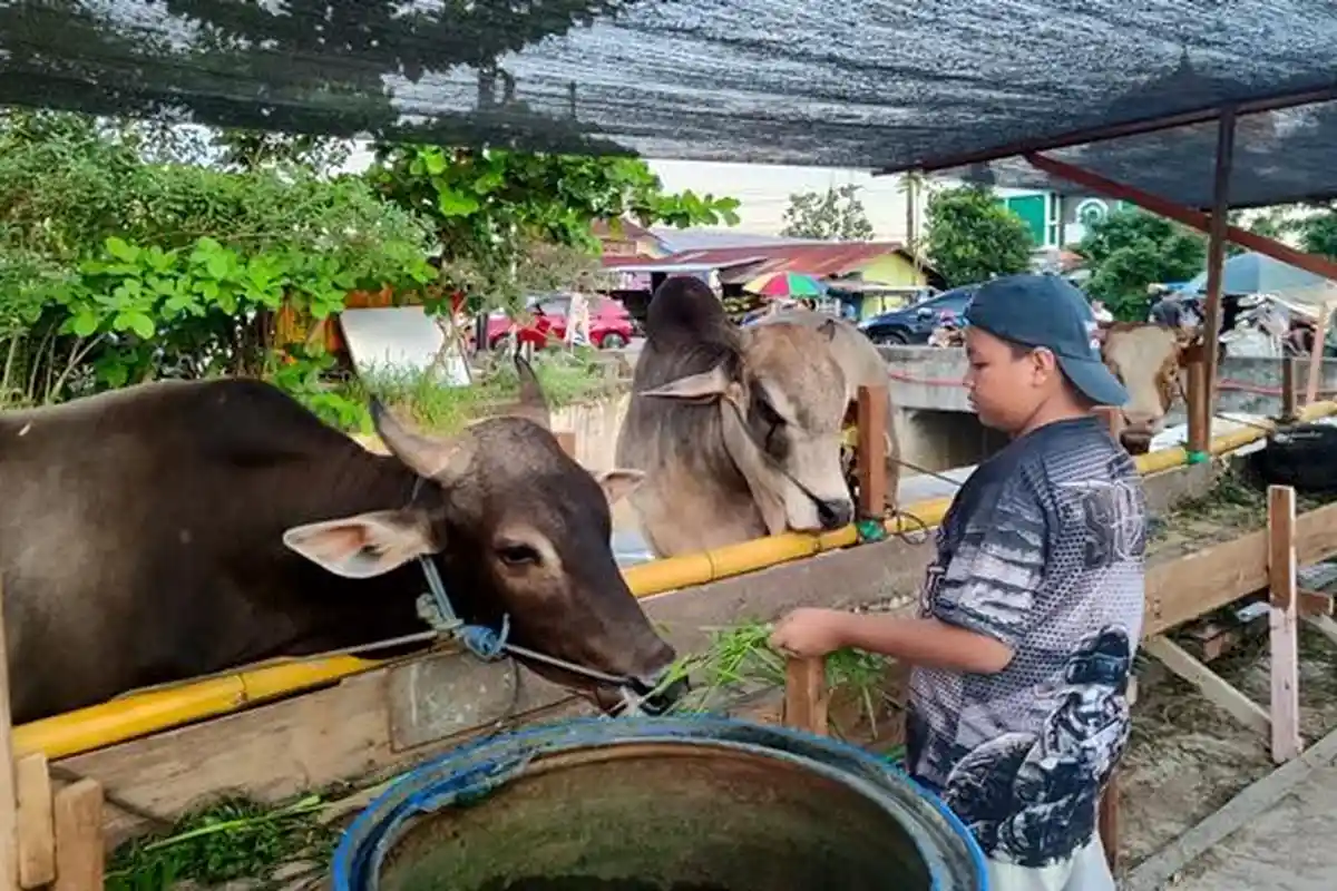 Muslim yang Berkurban, Berikut Batas Waktu Larangan Bercukur dan Potong Kuku Idul Adha 2023
