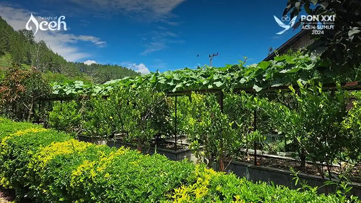 Rumah Pangan Lestari di Takengon, Wisata Edukasi Bagi Pecinta Tanaman - Rumah-Pangan-Lestari-Aceh-Tengah-01.jpg