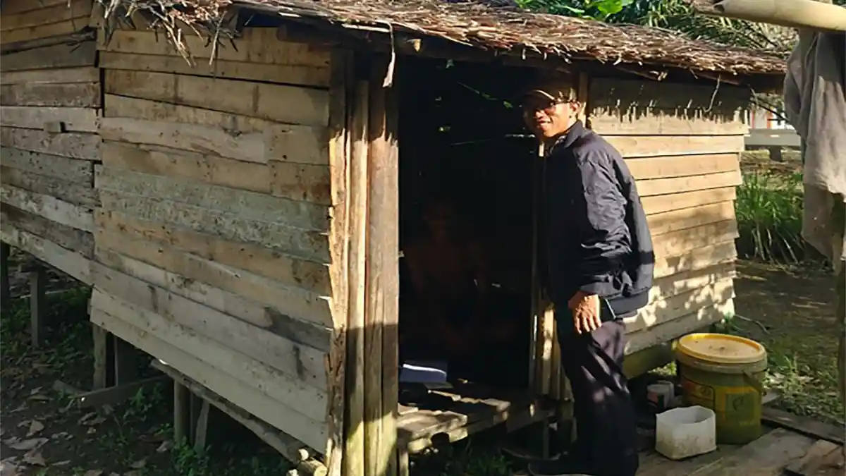 Kisah Pilu Lansia 70 Tahun di Sambas: Hidup Sebatang Kara Tanpa Listrik di Rumah Daun yang Bocor - Tribunpontianak.co.id