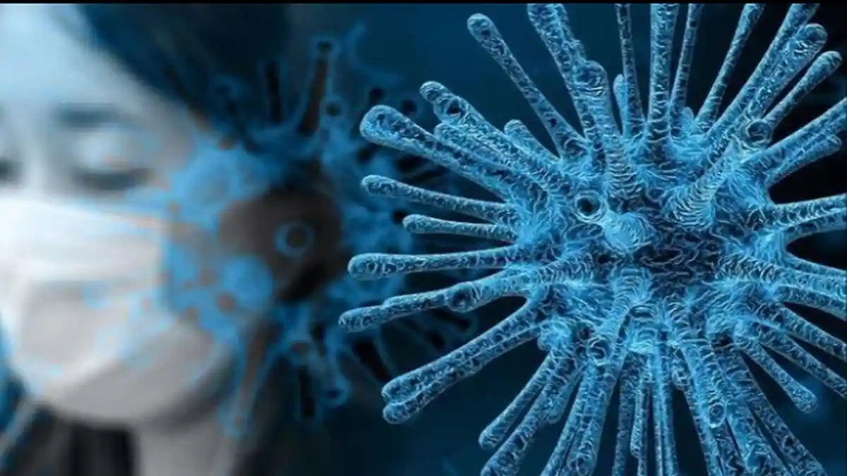 Berikut Data Covid-19 di Kota Kupang, Cek Infonya