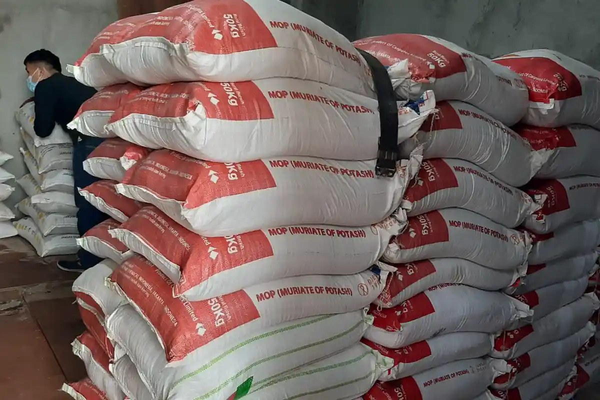 Pupuk di Pringsewu Lampung Mahal, Kejari Curiga Ada Mafia