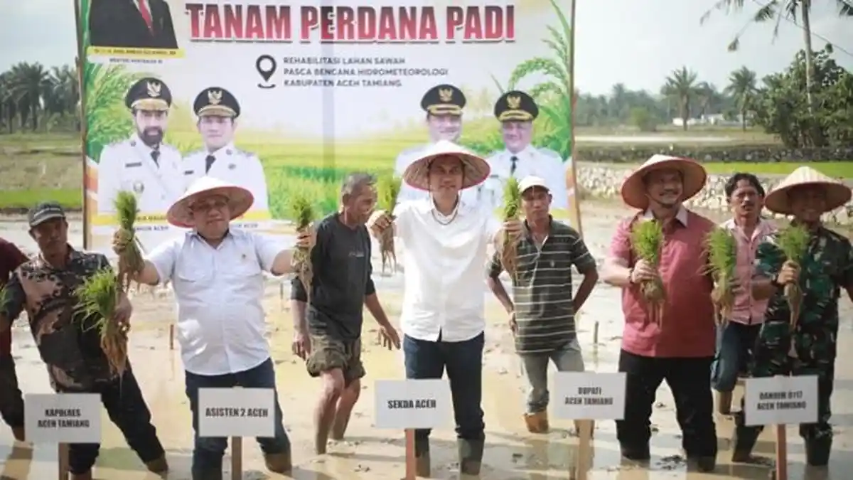 Aceh Pacu Pemulihan 40.988 Hektare Sawah, Tanam Padi Perdana Dimulai - Serambinews.com