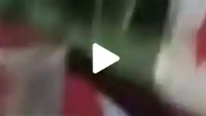 video-viral-25-detik-karyawati-Jepara-pesta-miras-bareng-tenaga-kerja-asing-Korea-Selatan.jpg
