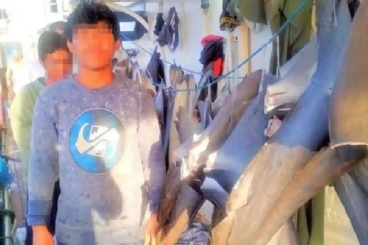 ABK Indonesia yang Kerja di Kapal Asing Belum Mendapat Perlindungan Optimal, Ini Penjelasan Kemnaker