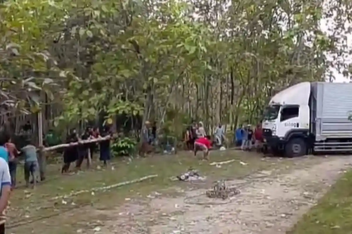 Horor Truk Boks Tersesat di Hutan Jati Blora, Sopir Ikuti Petunjuk Google Maps