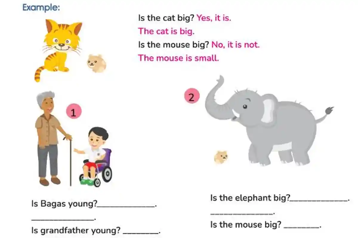 Kunci Jawaban Bahasa Inggris SD Kelas 5 Kurikulum Merdeka Semester 2 Halaman 72-73: How Tall Are You