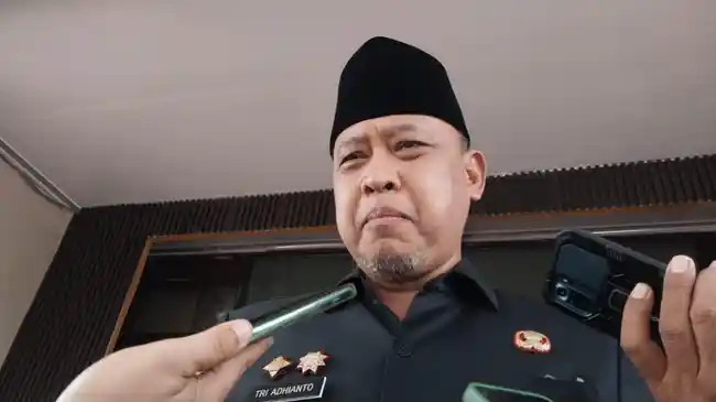Tribun