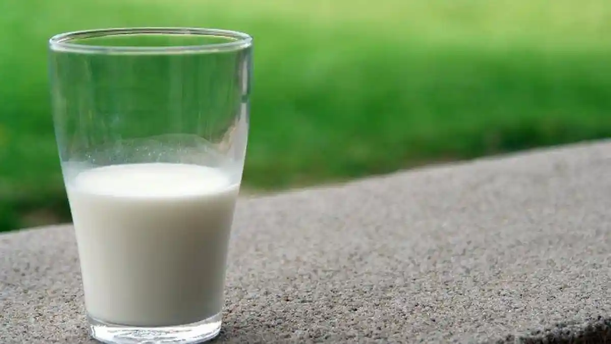 Fakta Susu Pasteurisasi, Atasi Berbagai Macam Penyakit, Lebih Baik Dibanding Susu Segar